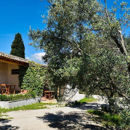 La Casa Del Cancello Di Borgo Carbone Locri Eksteriør billede