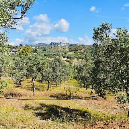 La Casa Del Cancello Di Borgo Carbone Locri Eksteriør billede